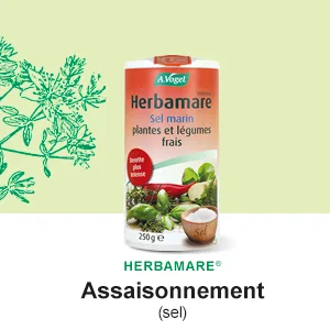 A. VOGEL - Herbamare Cubes - Organic Vegetable Cube Broth - Vegan and Gluten Free - 8x11g - Made in Switzerland. - Herbamare Intense