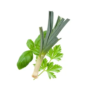 A. VOGEL - Herbamare Cubes - Organic Vegetable Cube Broth - Vegan and Gluten Free - 8x11g - Made in Switzerland. - Herbamare plantes