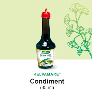 A. VOGEL - Herbamare Cubes - Organic Vegetable Cube Broth - Vegan and Gluten Free - 8x11g - Made in Switzerland. - Kelpamare