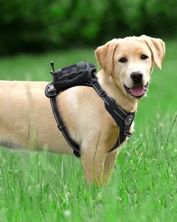 PoyPet No Pull Dog Harness, No Choke Front Lead Dog Reflective Harness, Adjustable Soft Padded Pet Vest with Easy Control Handle for Small to Large Dogs Medium Pink - PoyPet No Pull Dog Harness