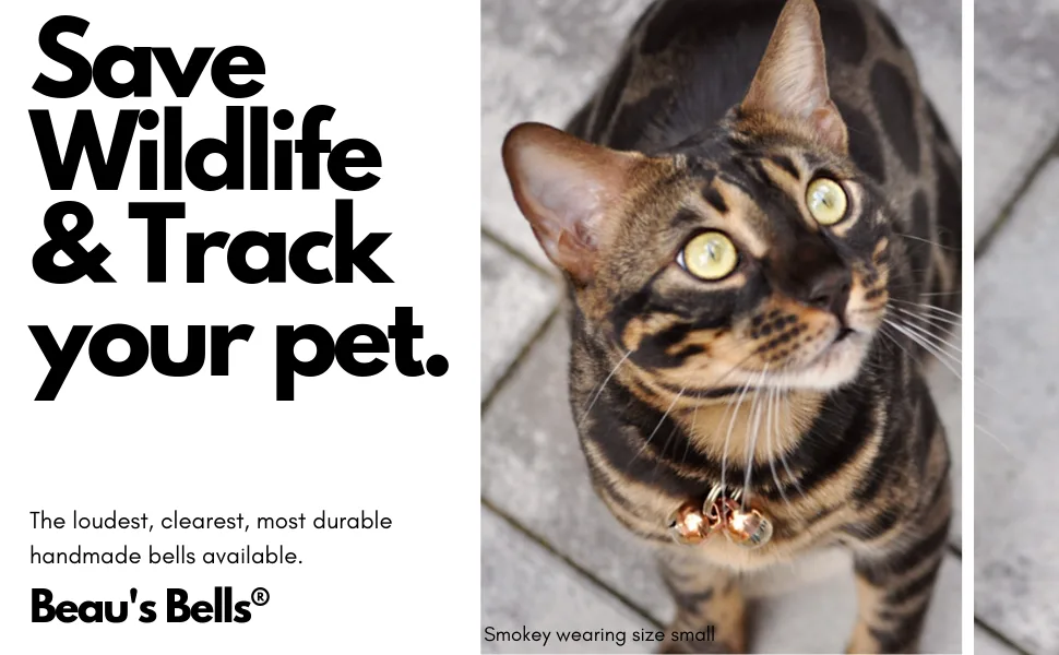 Beau's Bells 2 Extra Loud Cat & Dog Bells | Pet Tracker | Save Birds & Wildlife | Luxury Handmade Copper Small - beau