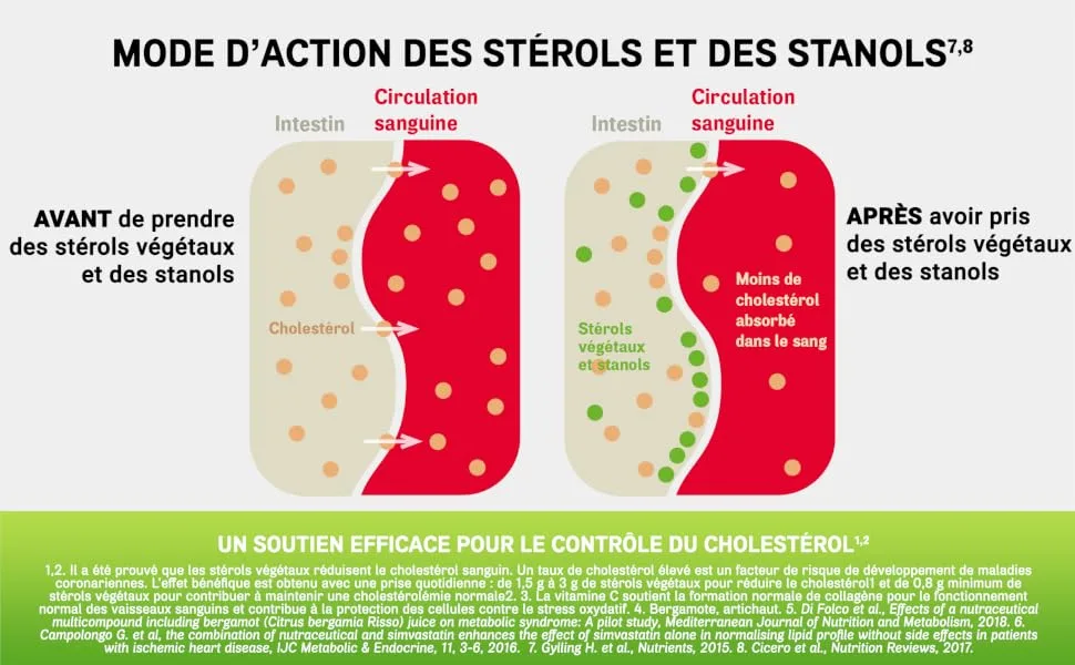 ARTERIN Cholesterol - Herbal Supplement Added Plant Sterols and Vitamin C - 90 Tablets - Mode d
