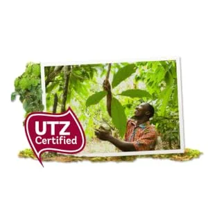 Balisto - Chocolate and Biscuit Bars Cereals Milk Hazelnuts and Grapes - 10 Bags of 18.5 g - 185 g - product information 3