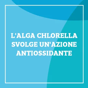 Bio Chlorella - Organic Chlorella Supplement 200 Tablets - Promotes the Purifying Functions of the Body - 100g - Optima – Colours of Life – compléments