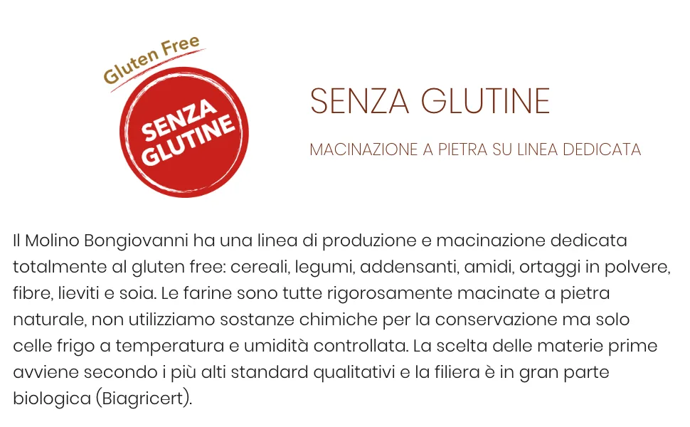 Toasted hazelnuts 500g BIO - Sans gluten.