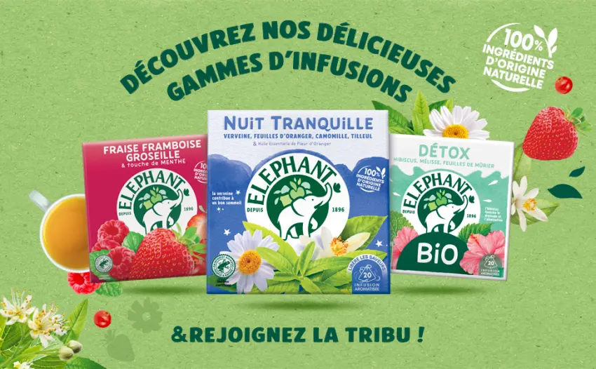 Elephant Flavored Infusion Grapefruit Mandarin & Lemon Taste Rainforest Alliance Certified 100% Natural Origin Ingredient - Elephant