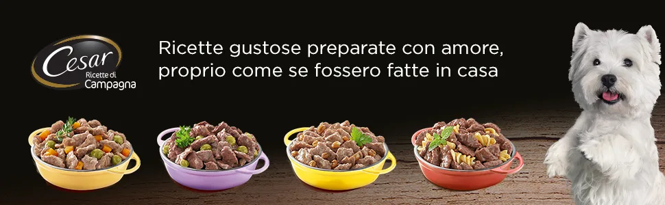 Cesar Senior 10+ Food for Senior Dogs Assorted Selection 150 g 24 tubs - 3600 g - Cesar, country, kitchen