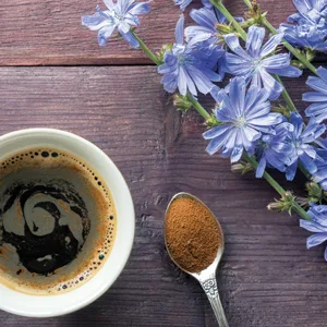 Probios Pack of Organic Chicory 500g - café, café biologique, boisson de chicorée, décaféiné