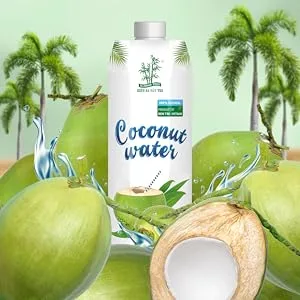 BAMBOO TREE - UHT Coconut Milk 17-19% Fat - 1 X 1 LTR - product information 2