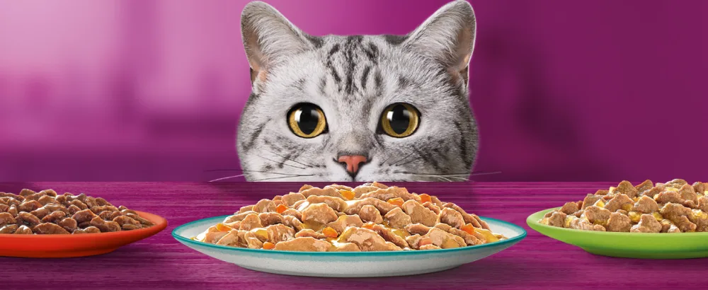 WHISKAS Cat Meals - 48 Fresh Sachets (Pack of 2 Packs 24x85g) - Classic Meals (4 varieties) - Cat Pate - Whiskas