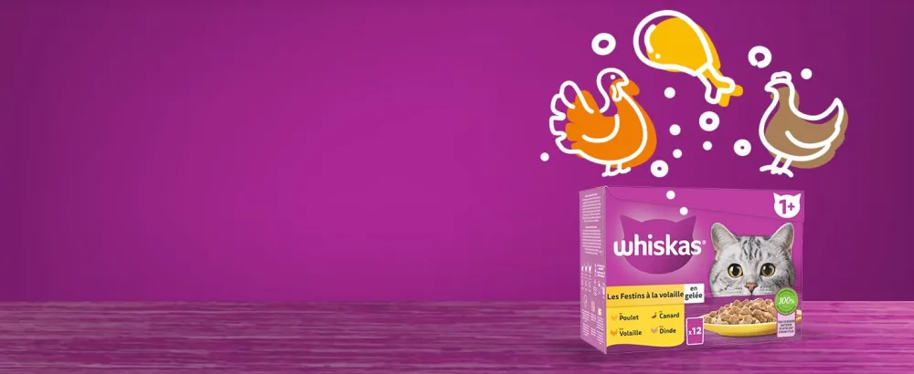 WHISKAS Cat Meals - 48 Fresh Sachets (Pack of 2 Packs 24x85g) - Classic Meals (4 varieties) - Cat Pate - Whiskas