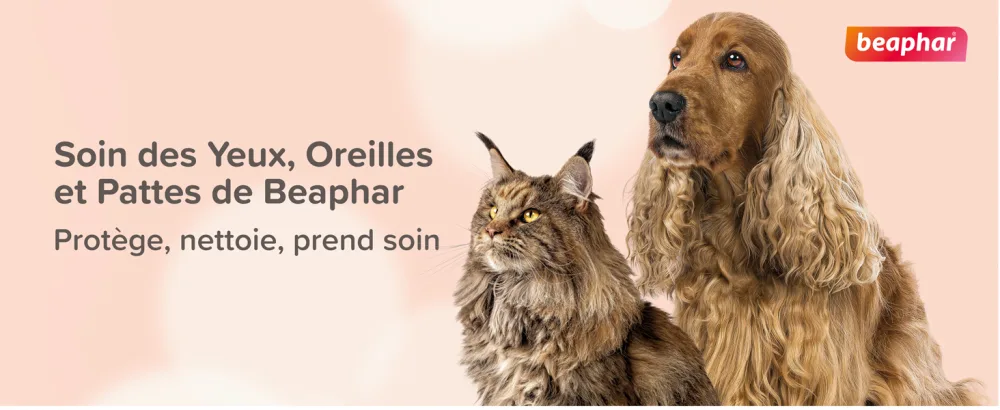 BEAPHAR Tear Stain Solution for Dogs and Cats Removes Unsightly Stain and Marks Prevents Discoloration Gently Cleans Ideal for Light Coats 50 ML - Ears