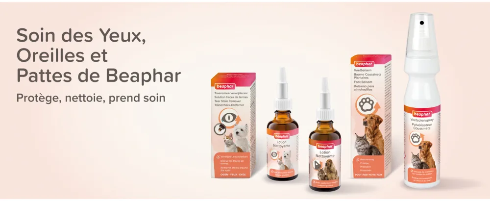 BEAPHAR Tear Stain Solution for Dogs and Cats Removes Unsightly Stain and Marks Prevents Discoloration Gently Cleans Ideal for Light Coats 50 ML - product information 9