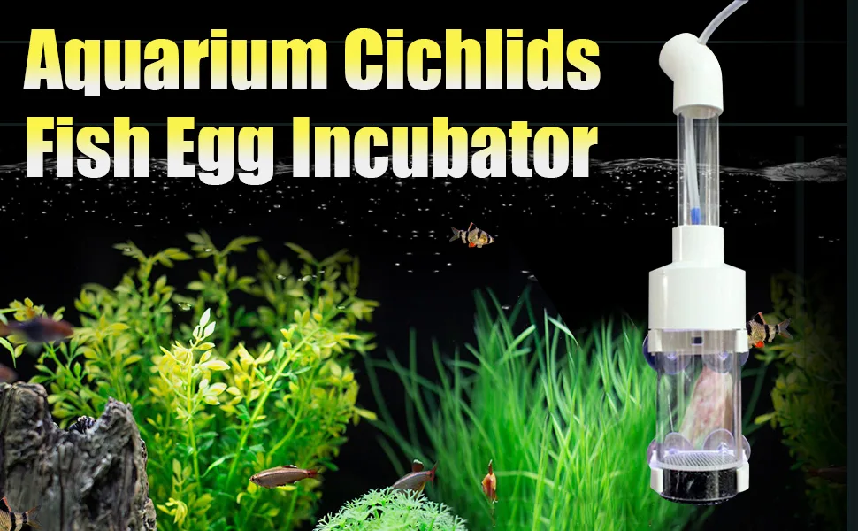 WEAVERBIRD Fish Hatchery Incubator, Aquarium Cichlids Fish Egg Incubator Tumbler Fish Hatchery Breeding for Fish Tank 40MM - Fish Hatchery Incubator