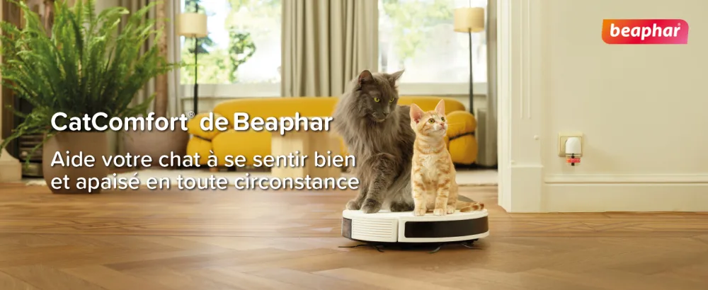 BEAPHAR CATCOMFORT - Electric pheromone diffuser for cats - Reduces stress and unwanted behavior without dependency or drowsiness - 1 plug and 1 refill of 48 ml - CatComfort