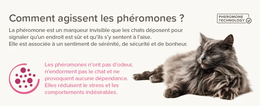 BEAPHAR CATCOMFORT - Electric pheromone diffuser for cats - Reduces stress and unwanted behavior without dependency or drowsiness - 1 plug and 1 refill of 48 ml - CatComfort