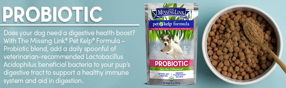 The Missing Link Pet Kelp Formula Probiotic 8 oz Dog - pet kelp probiotic