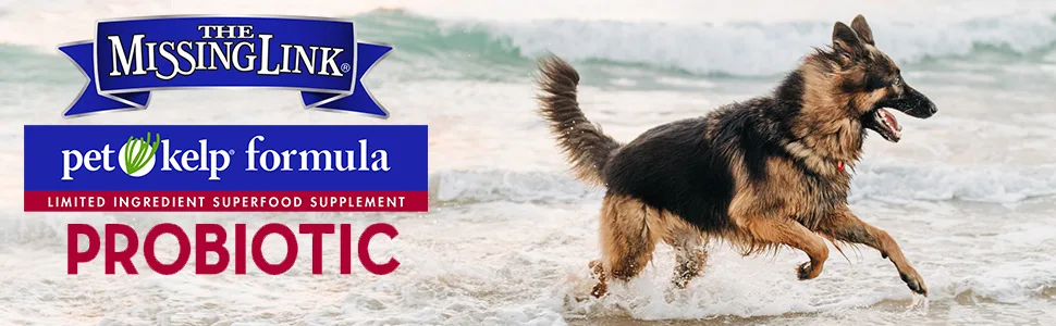 The Missing Link Pet Kelp Formula Probiotic 8 oz Dog - pet kelp the missing link