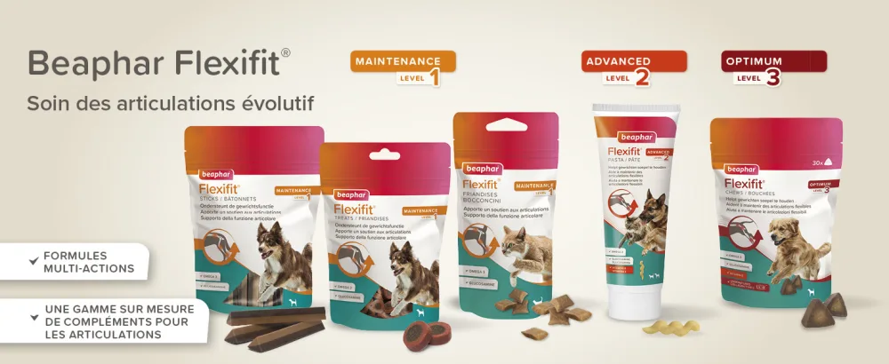 BEAPHAR Flexifit Joint Treats for Cats Contains vitamins glucosamine and essential fatty acids Provides joint support Highly palatable Level 1 150g - Flexifit