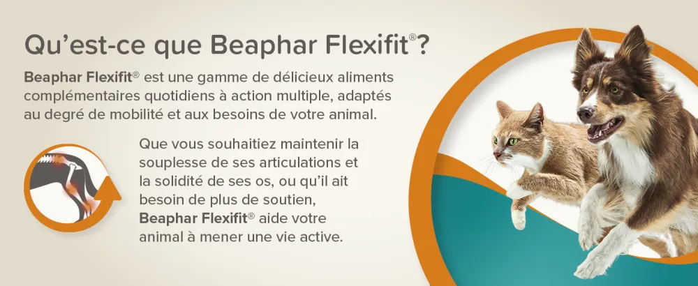 BEAPHAR Flexifit Joint Treats for Cats Contains vitamins glucosamine and essential fatty acids Provides joint support Highly palatable Level 1 150g - Flexifit