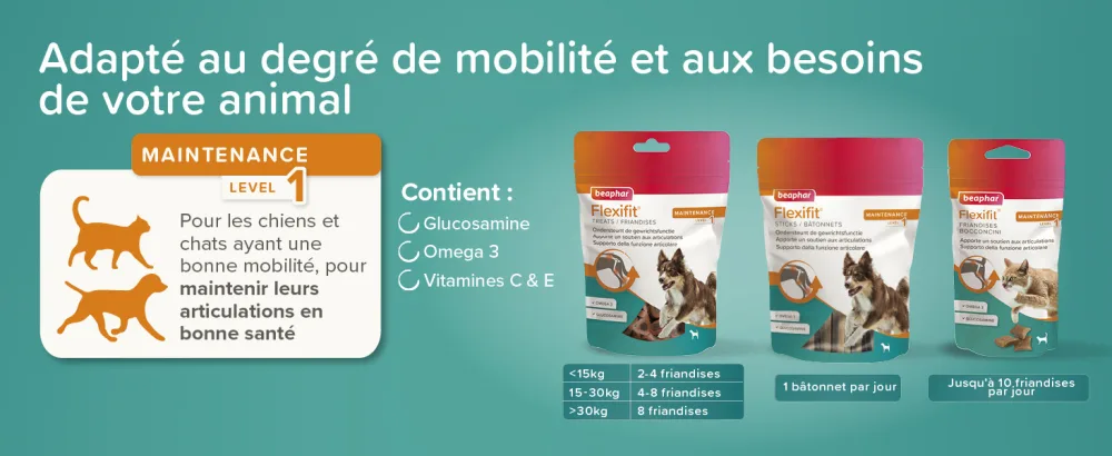 BEAPHAR Flexifit Joint Treats for Cats Contains vitamins glucosamine and essential fatty acids Provides joint support Highly palatable Level 1 150g - Flexifit