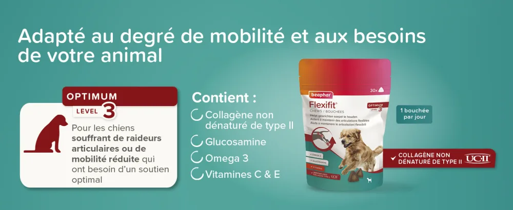 BEAPHAR Flexifit Joint Treats for Cats Contains vitamins glucosamine and essential fatty acids Provides joint support Highly palatable Level 1 150g - Flexifit