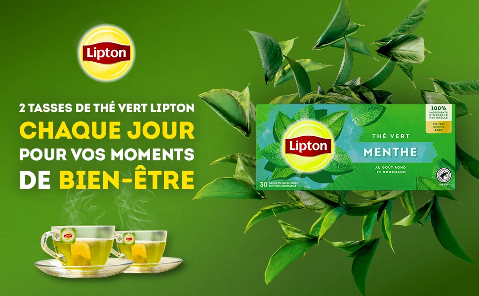 Lipton Green Tea Flavored Green Tea Cold or Hot Infusion Blueberry & Blackberry Taste Wellness 100% Natural Origin Ingredient - thé