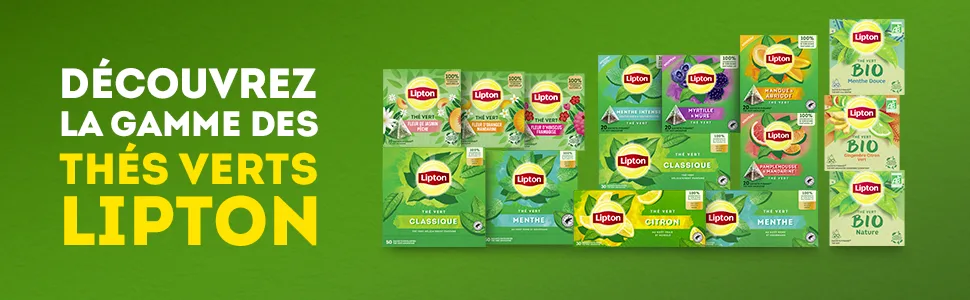 Lipton Green Tea Cold or Hot Infusion Spearmint & Peppermint Taste Freshness 100% Natural Origin Ingredients 20 Pyramid - thé