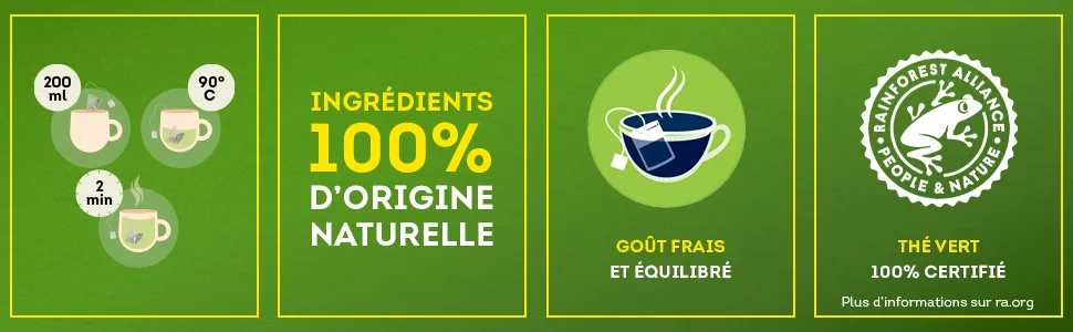 Lipton Green Tea Flavored Green Tea Cold or Hot Infusion Mango & Apricot Taste 100% Natural Origin Ingredients 20 Pyramid Sachets - thé