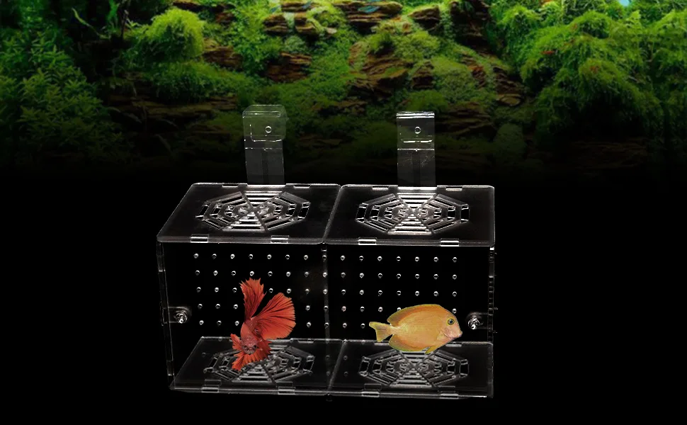 Hamiledyi Aquarium Breeding Isolation Box Acrylic Fish Tank Acclimation Hatchery Incubator Holder Divider for Guppy Shrimp Clownfish Fishes - baby fish separator