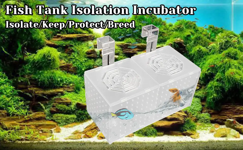 Hamiledyi Aquarium Breeding Isolation Box Acrylic Fish Tank Acclimation Hatchery Incubator Holder Divider for Guppy Shrimp Clownfish Fishes - fish breeder box