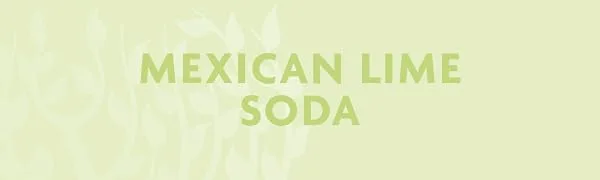 FEVER-TREE Mexican Lime Soda 6 x 150 ml (Pack of 4 total 24 cans) - Soda Citron vert mexicain