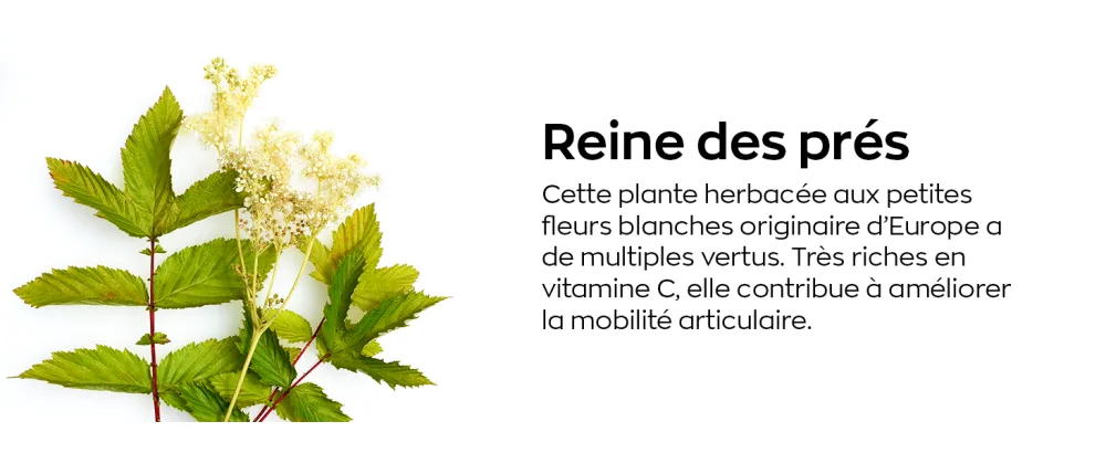 CHONDROSTEO+ 6 MONTHS - 3 x 180 tablets in blister pack - Reine des près