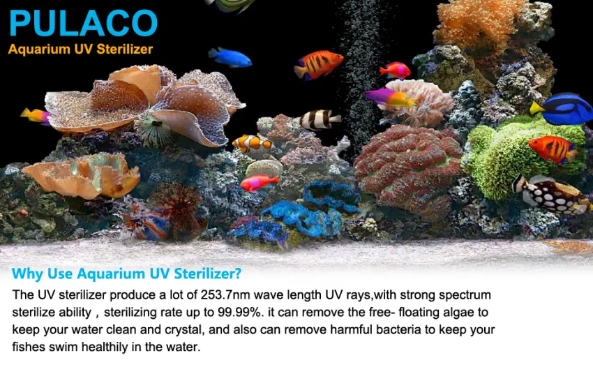 PULACO 5W UV-c Aquarium Algae Clean Light, UV Lamp for Aquarium Fish Tank - product information 7