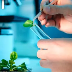Greentop Anti-Dust Mite Rinse Additive for Textiles 1L Plant-Based Active Non-Neurotoxic Infant Friendly - product information 5
