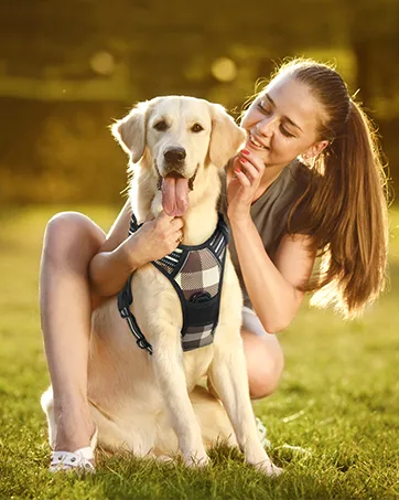 rabbitgoo Dog Harness, No-Pull Pet Harness with 2 Leash Clips, Adjustable Soft Padded Dog Vest, Reflective Outdoor Pet Oxford Vest with Easy Control Handle Large Classic Black - rabbitgoo