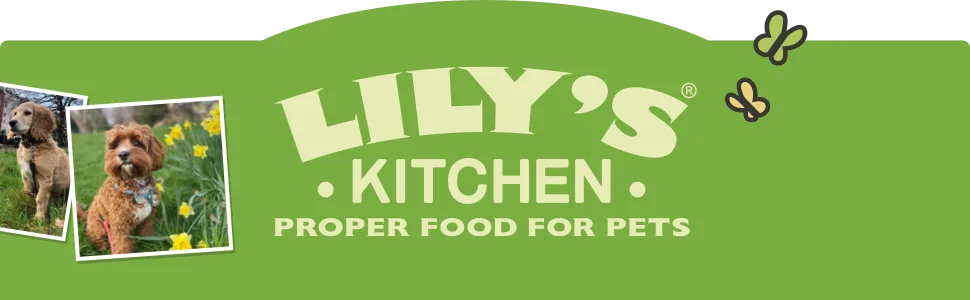 Lily's Kitchen Ancient Grains Beef with Potatoes Rye & Spelt for Dogs 7kg - Lily's Kitchen