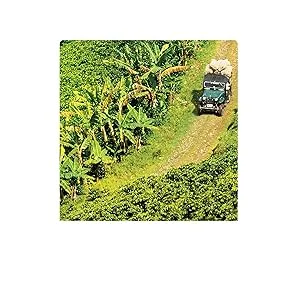 Jacques Vabre Bahia Ground Coffee Origin Brazil 250g - product information 1