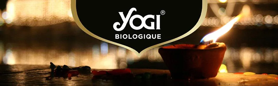 Yogi Organic Turmeric Ginger Infusion 100% Organic 15 Heat Sealed Sachets and without staple 24 g 311916 - product information 1