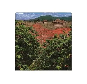 Jacques Vabre Ground coffee Kitale Origin Kenya 250g - product information 3