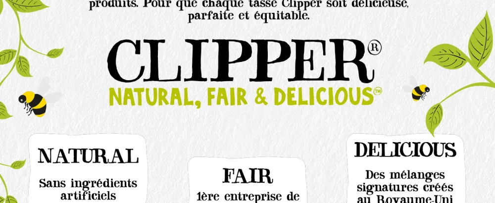 CLIPPER - Organic Infusion - Divine Digestion - Two Mints and Fennel - 20 Organic Infusion Sachets - Pack of 1 - Natural Fair Delicious