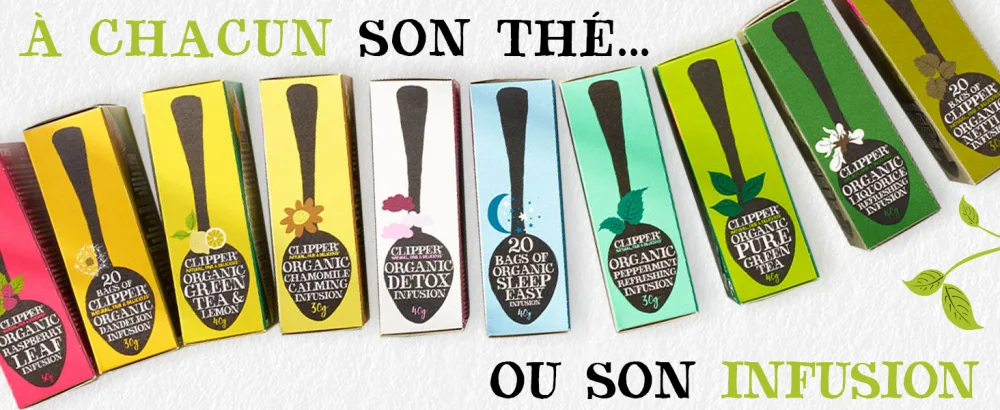 CLIPPER - Organic Mint Green Tea - Marrakech - Fair Trade - 20 Organic Tea Bags - 1 pack - Sélection de thé