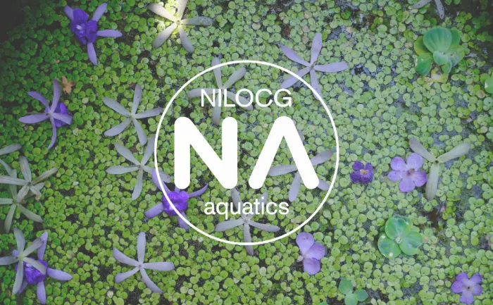 NilocG Aquatics Co2 Drop Checker Drop Checker with Solution - product information 1