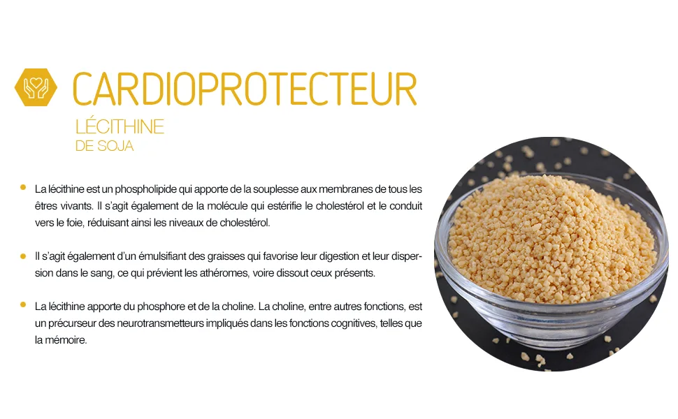 Ana Maria Lajusticia - Soy lecithin - 300 beads - Reduces blood cholesterol levels and improves memory. Suitable for vegans. - 40FR