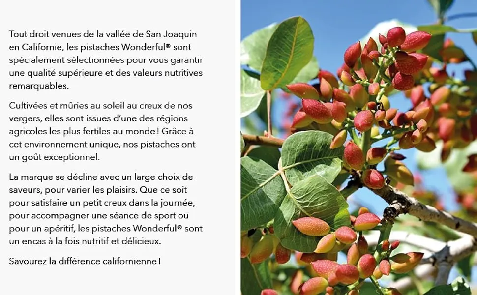 Wonderful Pistachios - Pistachios without salt 250g - PISTACHES