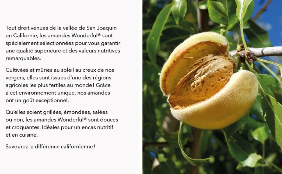 Wonderful Almonds Unsalted Almonds 200g - AMANDES
