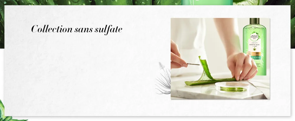 Herbal Essences Pure Aloe & Hemp Powerful Sulfate Free Shampoo 225ml - Collection sans sulfate