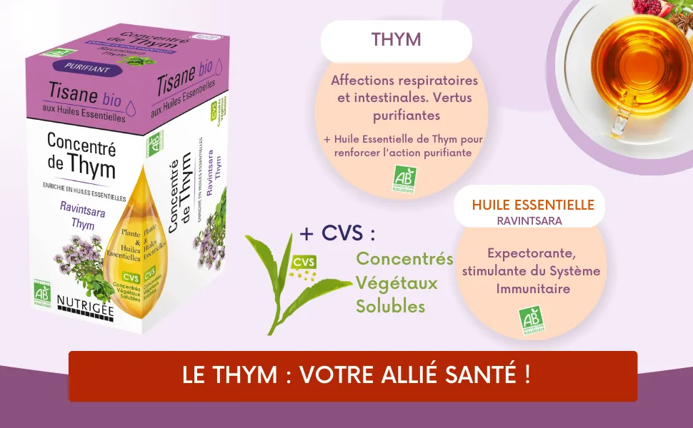 NUTRIG E - Organic Thyme Concentrate Herbal Tea - Fights Respiratory & Intestinal Conditions - Purifies - Veg Concentrates - concentré de thym