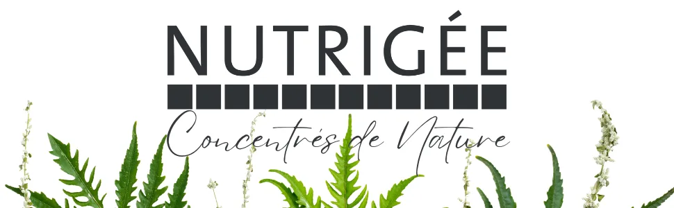 NUTRIG E - Organic Thyme Concentrate Herbal Tea - Fights Respiratory & Intestinal Conditions - Purifies - Veg Concentrates - Nutrigée