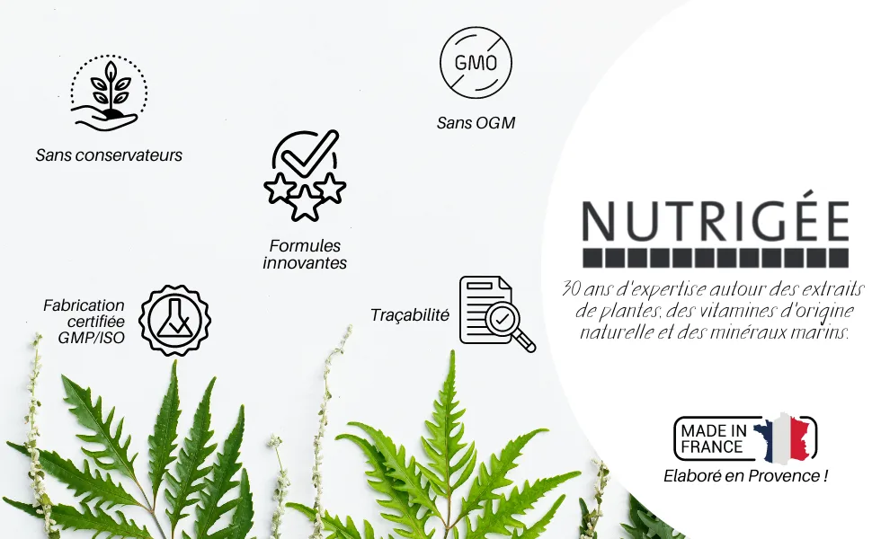 NUTRIG E - Organic Thyme Concentrate Herbal Tea - Fights Respiratory & Intestinal Conditions - Purifies - Veg Concentrates - nutrigée